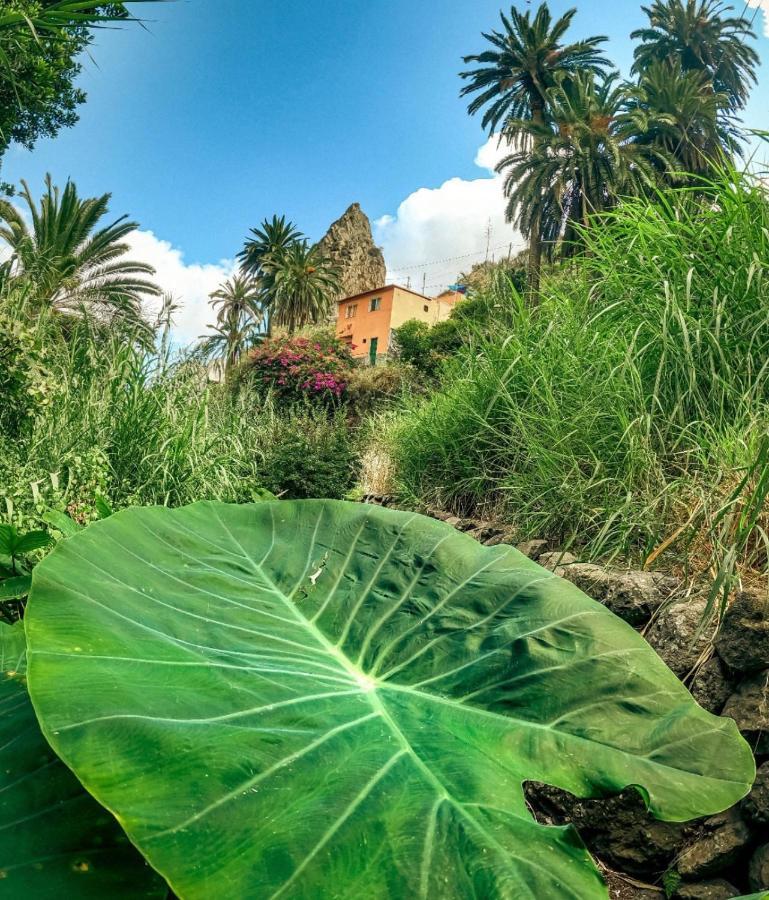 Casa Buganvilla แอร์มิกวา ภายนอก รูปภาพ